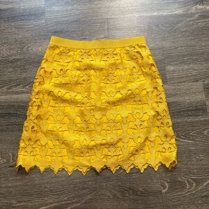 NWT Ann Taylor Skirt